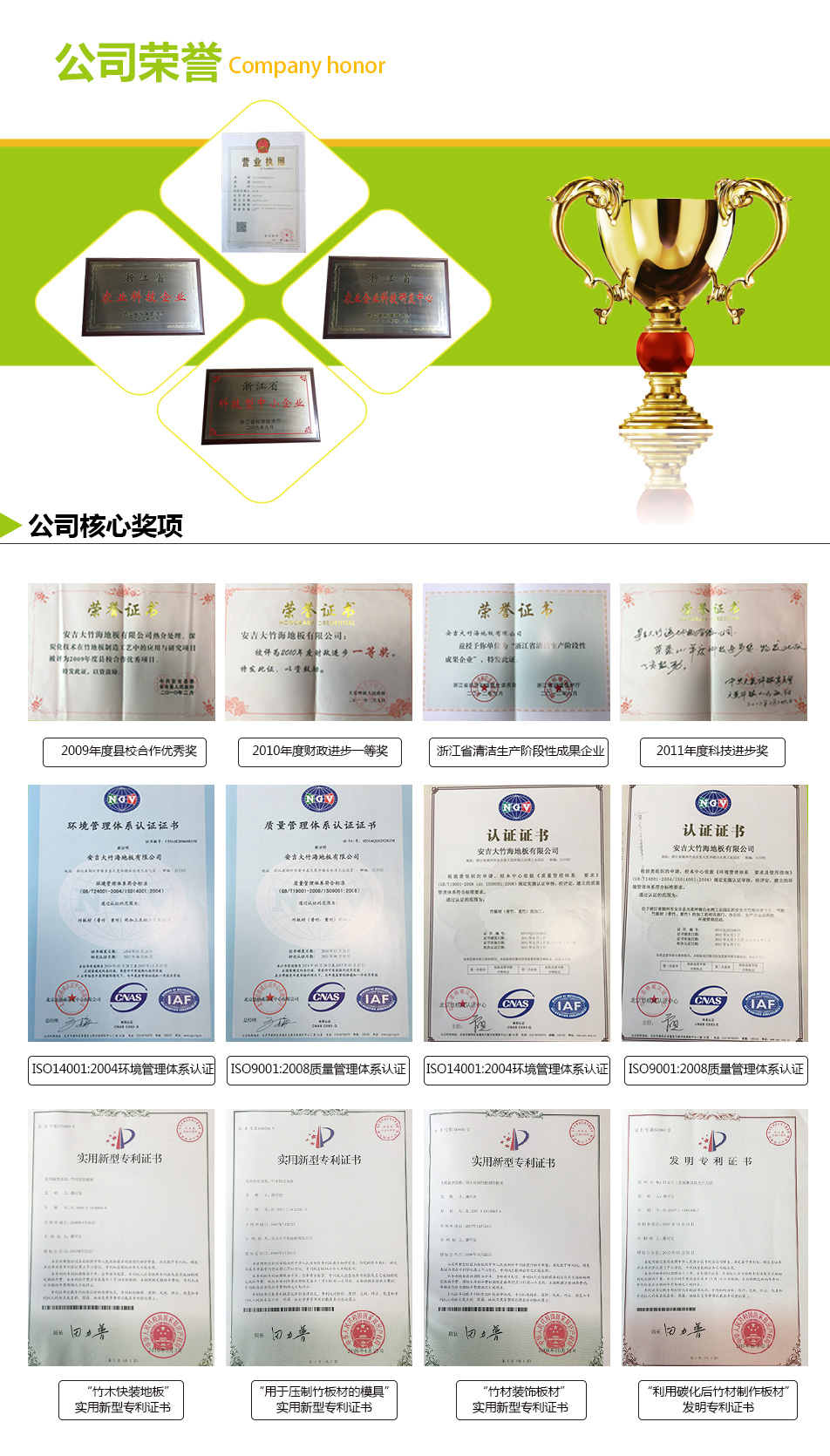 宅男视频网站地板荣誉